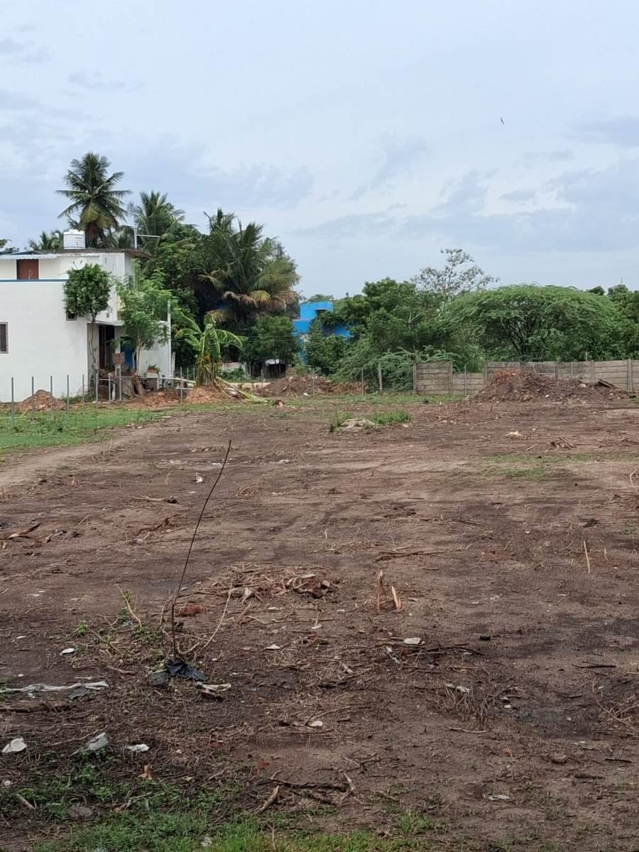 Wide view of the cleared SWM land
