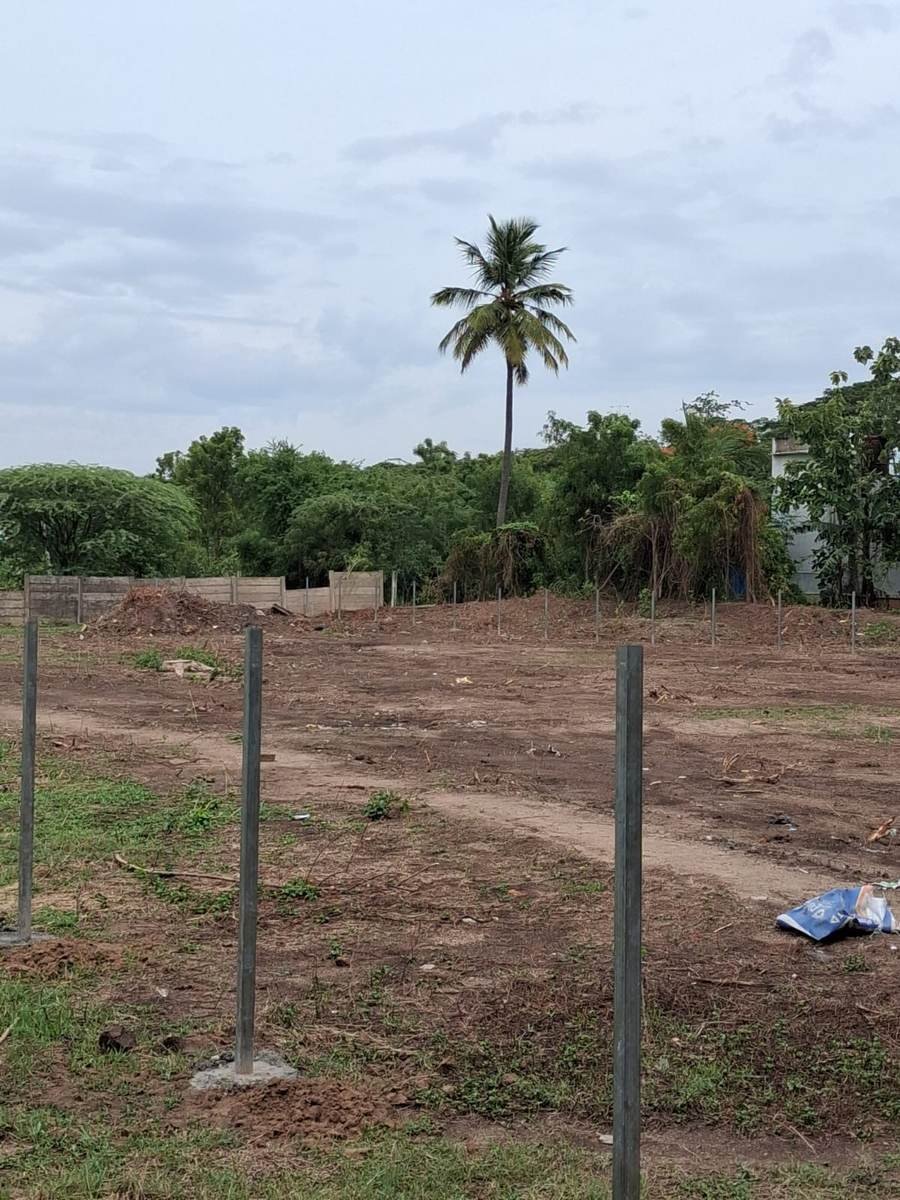SWM site with fencing posts and surrounding greenery